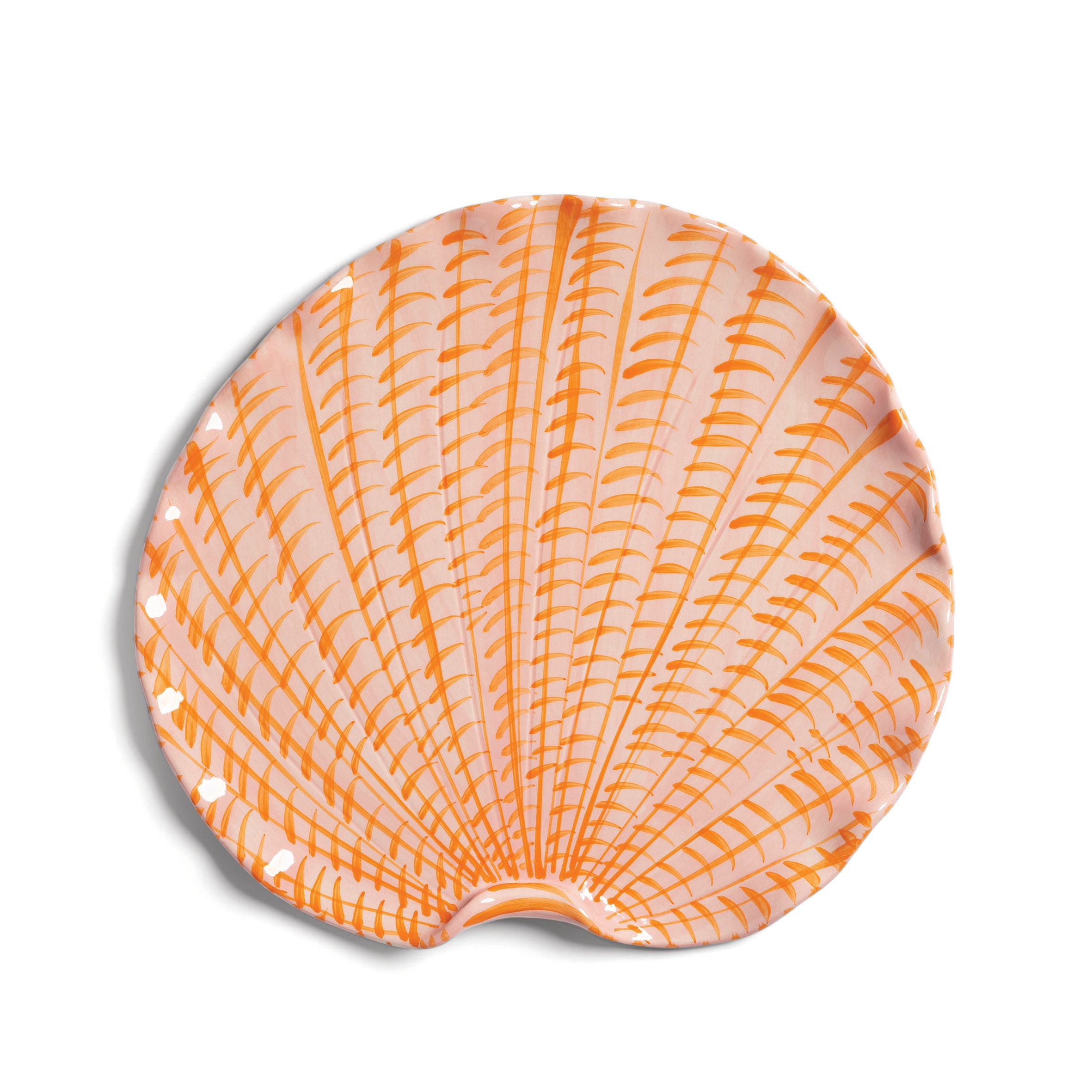 Shellegance fad - medium